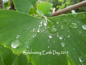 Earth Day 2015