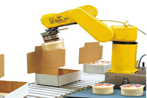 Fanuc robot food packaging