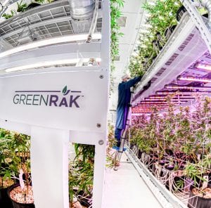 Vertical grow rack