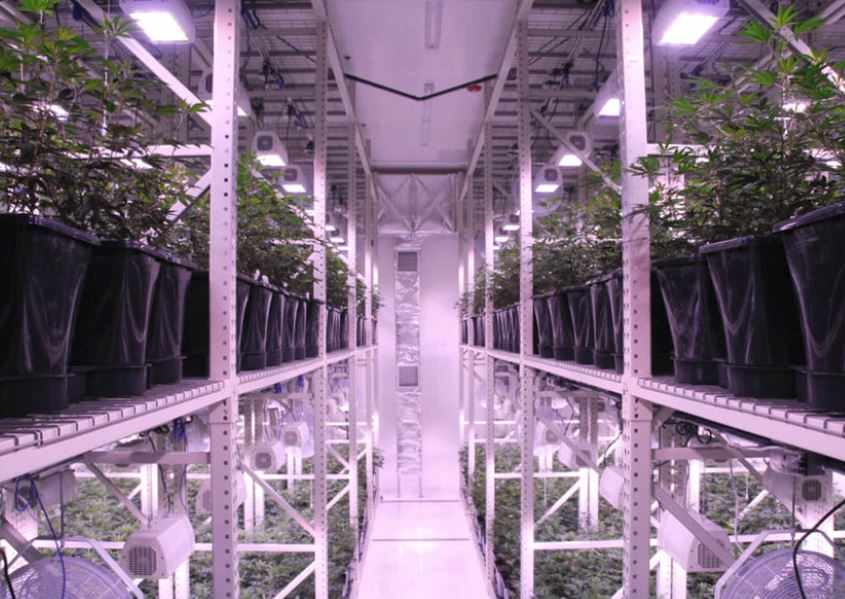 Indoor-vertical growing rack system