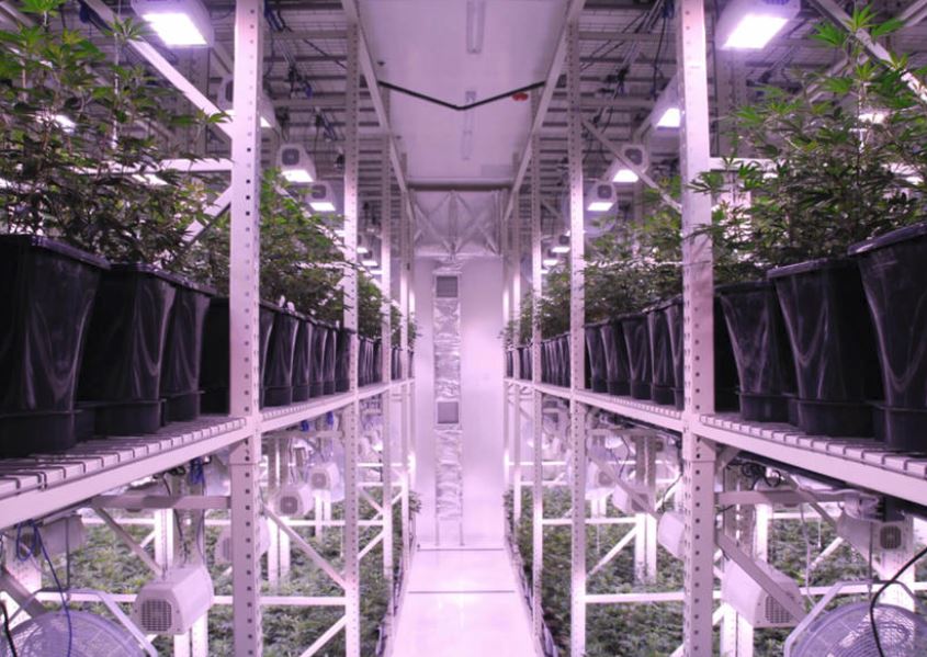 Indoor-vertical growing rack system