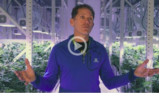 Montel grow rack video