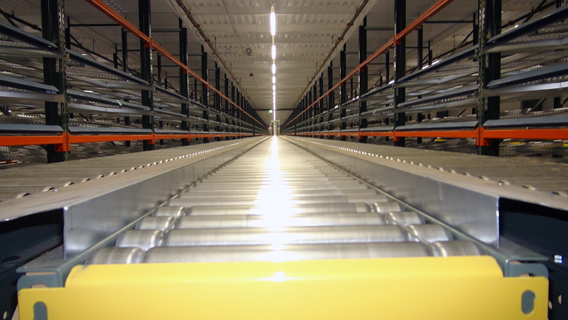 Automated conveyor and sortation system