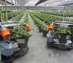 Harvest Automation stumbles with warehouse robot
