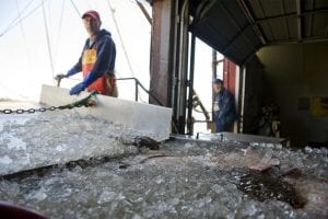 How robots can help local fisheries